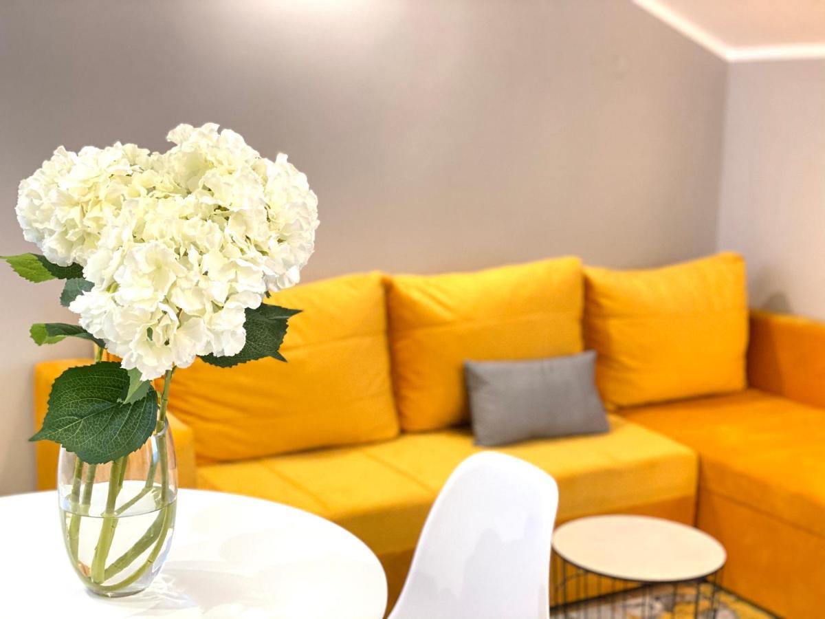 Villa Blanca Risan Zewnętrze zdjęcie