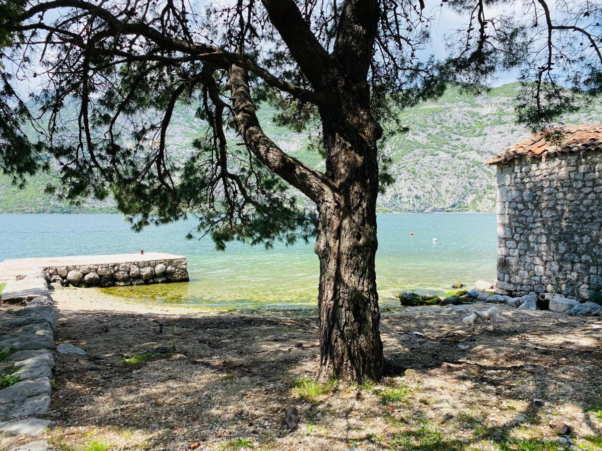 Villa Blanca Risan Zewnętrze zdjęcie